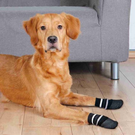 Chaussettes pour chiens anti-dérapantes