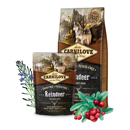 Carnilove Reindeer for adult dogs