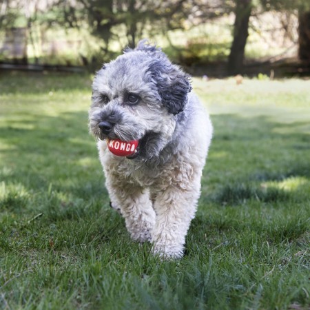 KONG Signature Ball