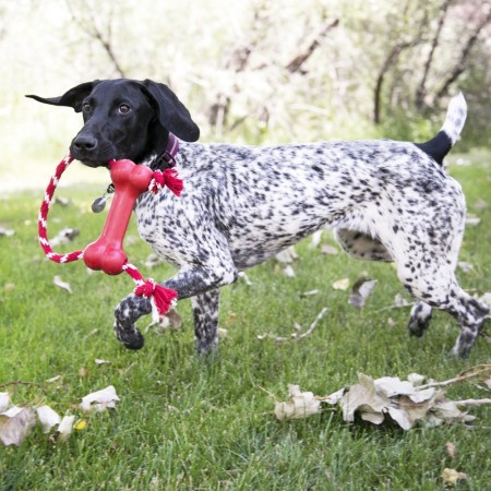 KONG Goodie Bone™ with Rope