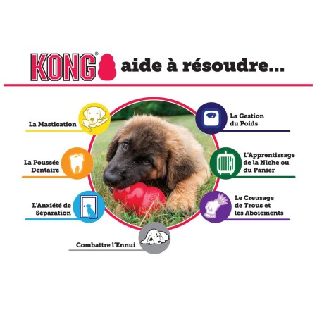 KONG® Puppy