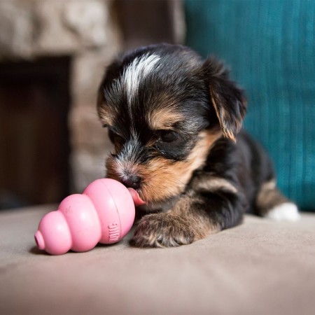 KONG® Puppy