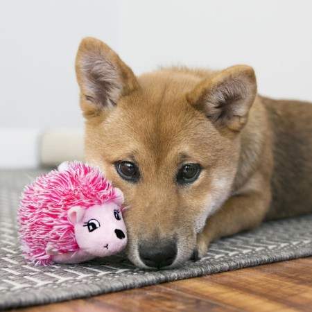 KONG Comfort HedgeHug Puppy