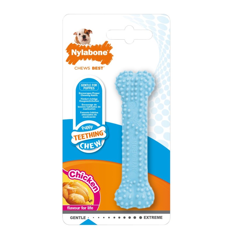 Nylabone Blue Dental Chew XS