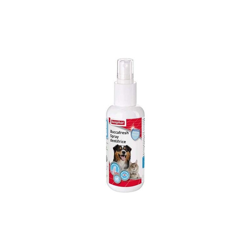 Spray dentifrice pour chien et chat