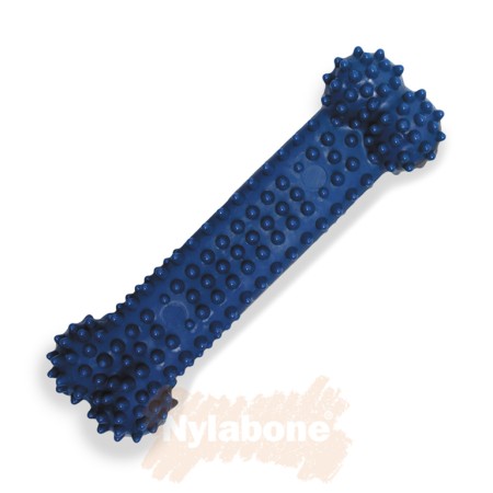 Nylabone Chicken Moderate Dental Bone