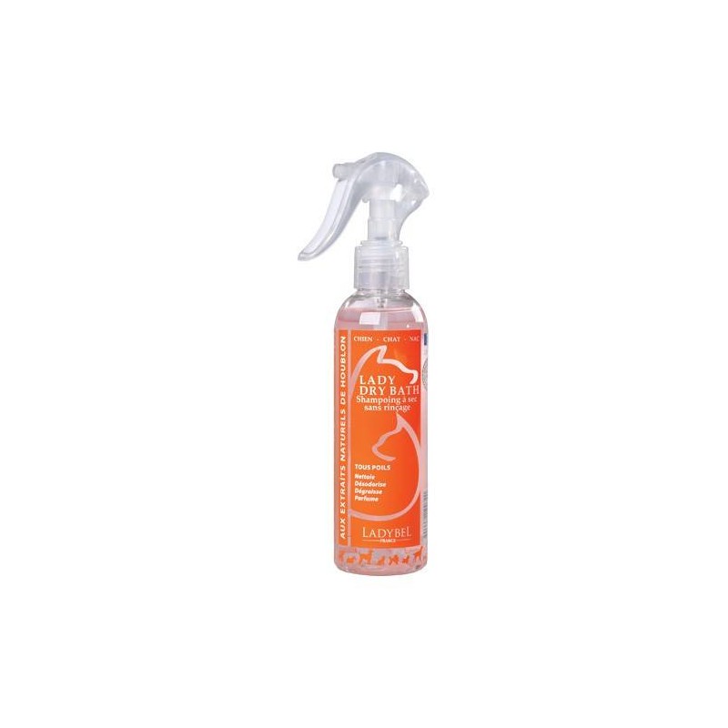 Lady Dry Bath Shampoing Sec