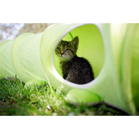 Tunnel pour chat Raupe 170cm