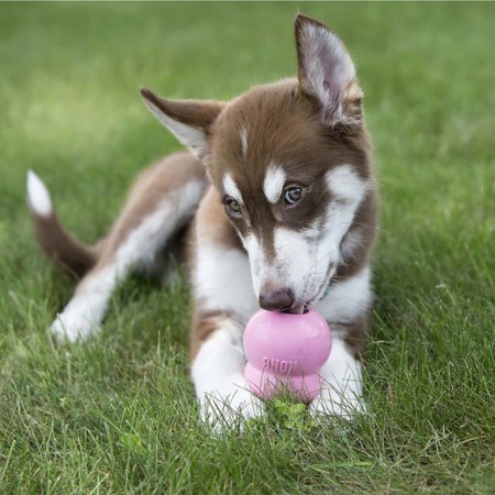 KONG Easy Treat™ Puppy