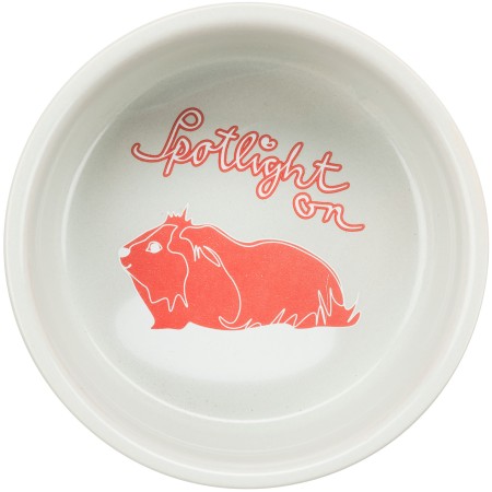 Gamelle, motif cochon d'Inde Spotlight, en céram., 250 ml/ø 11 cm