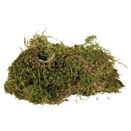 Mousse pour terrariums, substrat terr. humides, 200 g