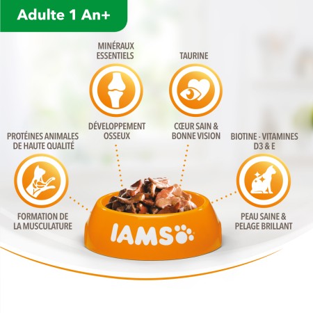 Iams - MegaPack Terre & Mer - 48 x 85 g