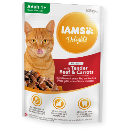 IAMS Delights 85g