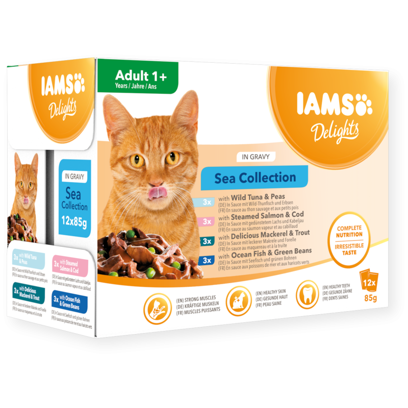 IAMS Delights Chat Adulte Sea Collection en gelée 12x85g