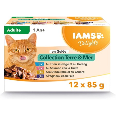 IAMS Delights Adulte Terre & Mer en Gelée 12x85g