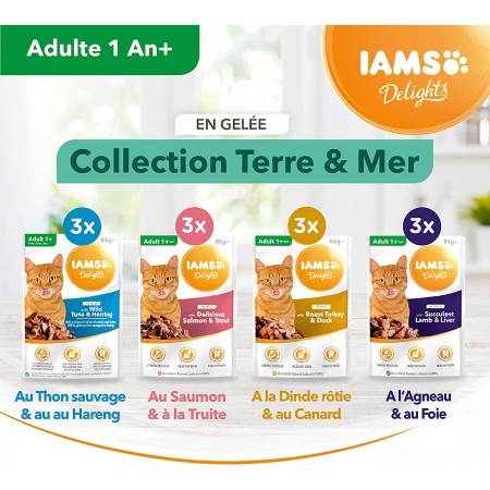 IAMS Delights Adulte Terre & Mer en Gelée 12x85g