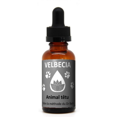 Velbecia Fleur de Bach 50ml - Animal Stressé