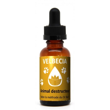 Velbecia Fleur de Bach 50ml - Animal Stressé