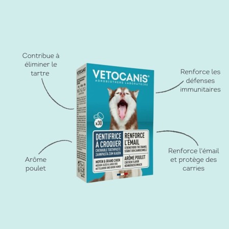 Dentifrice Anti-Tartre à Croquer pour Chien - Élimine Tartre et Renforce les Dents