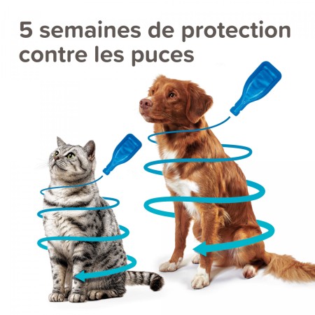 FIPROtec, Pipettes Antiparasitaires au Fipronil pour Chat