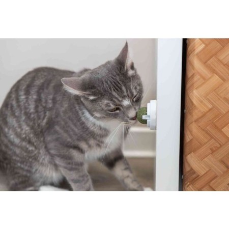 Balle d'Herbe à Chat avec Support Auto-Adhésif Ø 5cm - Fixation Surfaces Lisses