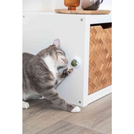 Balle d'Herbe à Chat avec Support Auto-Adhésif Ø 5cm - Fixation Surfaces Lisses
