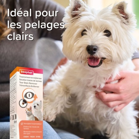 Solution contre les traces de larmes pour chien et chat