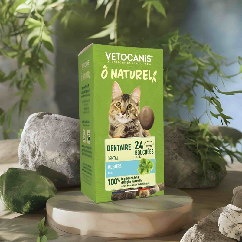 Friandises Dentaires Vetocanis pour Chat aux Algues - 24 Bouchées - 36g