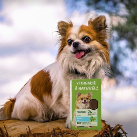 Friandises Dentaires Vetocanis pour Chien aux Algues - 24 Bouchées - 120g