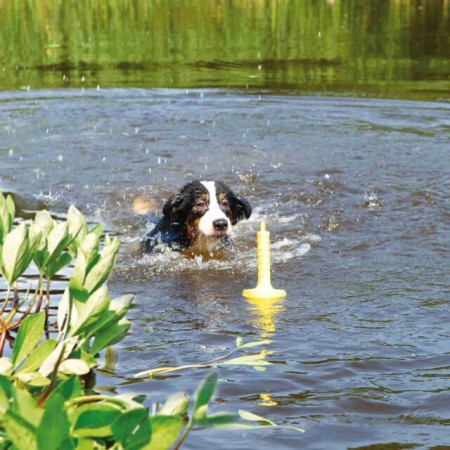 Trixie Aqua Toy MOT®-Aqua Flottant pour Chiens