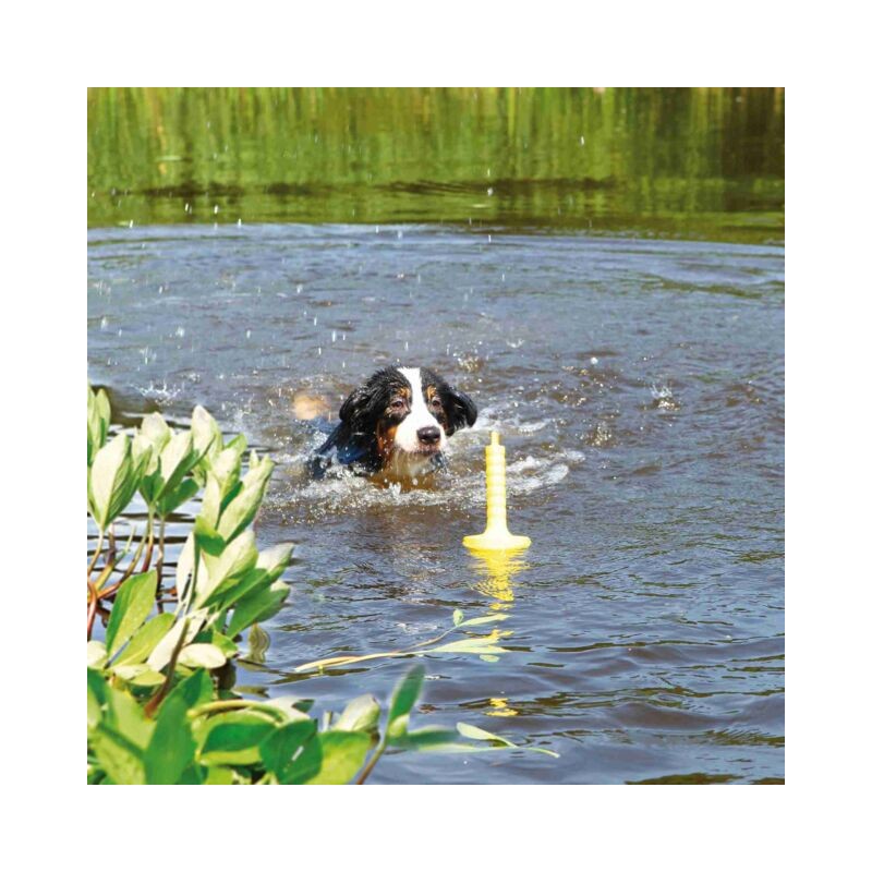 Trixie Aqua Toy MOT®-Aqua Flottant pour Chiens