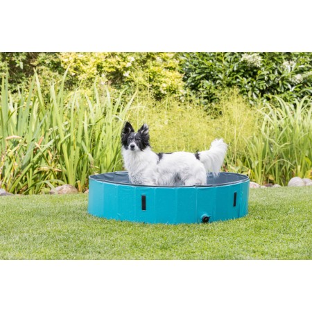 Trixie Piscine pour Chien, Pétrole/Gris