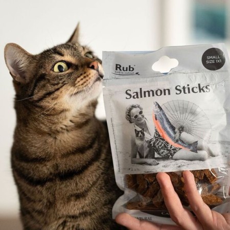 Stick Dentaire Saumon Pour Chats 100g - Petit Format 1x1 | RETORN