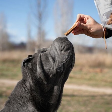 Premio Rub Stick Dental de Poulet pour Chiens 100g - Taille Small 1x1 | Retorn