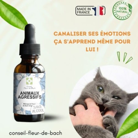 Fleurs de Bach Animaux Agressifs Sans Alcool - Apaisement Naturel pour Votre Compagnon