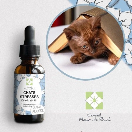 Fleurs de Bach pour Chat Stressé Sans Alcool - Apaisement Naturel 30 ml