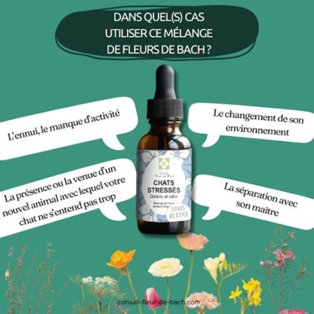 Fleurs de Bach pour Chat Stressé Sans Alcool - Apaisement Naturel 30 ml