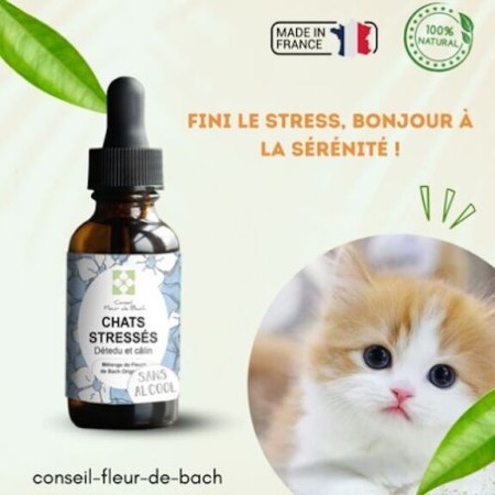 Fleurs de Bach pour Chat Stressé Sans Alcool - Apaisement Naturel 30 ml