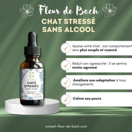 Fleurs de Bach pour Chat Stressé Sans Alcool - Apaisement Naturel 30 ml