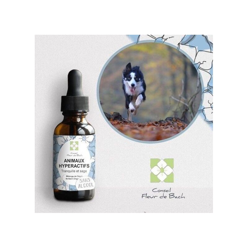 Fleurs de Bach Animaux Hyperactifs Sans Alcool - Apaisement Naturel pour Chiens et Chats 30 ml