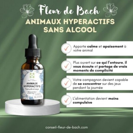 Fleurs de Bach Animaux Hyperactifs Sans Alcool - Apaisement Naturel pour Chiens et Chats 30 ml