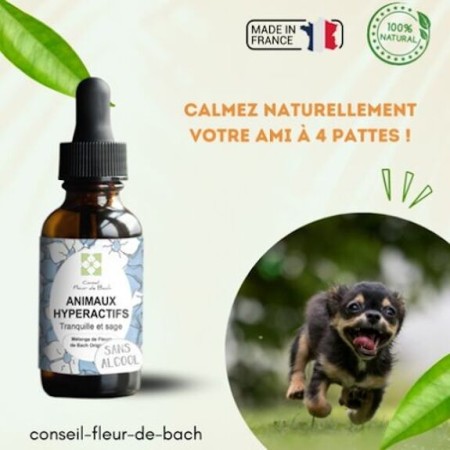 Fleurs de Bach Animaux Hyperactifs Sans Alcool - Apaisement Naturel pour Chiens et Chats 30 ml