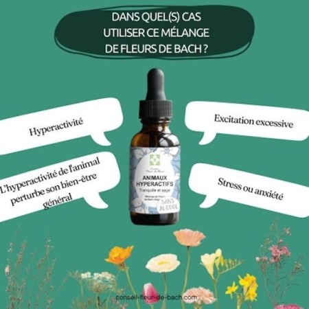 Fleurs de Bach Animaux Hyperactifs Sans Alcool - Apaisement Naturel pour Chiens et Chats 30 ml