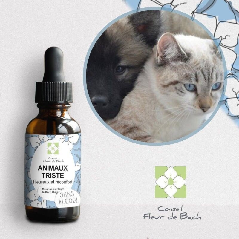 Fleurs de Bach pour Animaux Tristes Sans Alcool - Solution Naturelle 30 ml