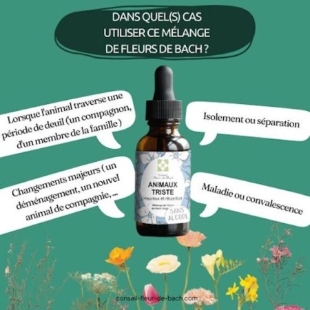 Fleurs de Bach pour Animaux Tristes Sans Alcool - Solution Naturelle 30 ml