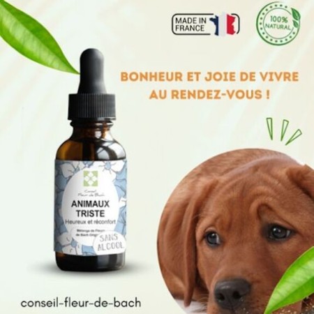 Fleurs de Bach pour Animaux Tristes Sans Alcool - Solution Naturelle 30 ml