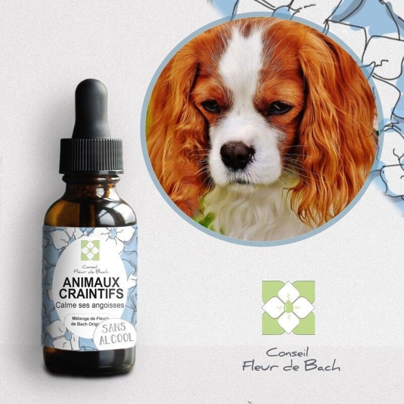 Fleurs de Bach pour Animaux Craintifs Sans Alcool - Sérénité Naturelle 30 ml