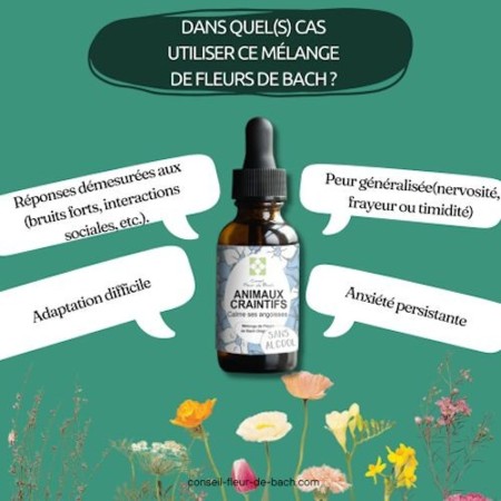 Fleurs de Bach pour Animaux Craintifs Sans Alcool - Sérénité Naturelle 30 ml