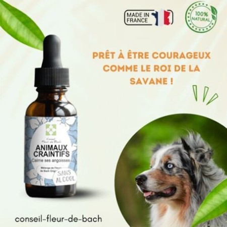 Fleurs de Bach pour Animaux Craintifs Sans Alcool - Sérénité Naturelle 30 ml