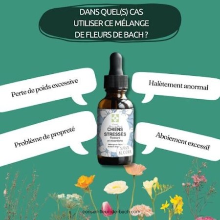 Fleurs de Bach pour Chien Stressé Sans Alcool - Apaisement Naturel 30 ml